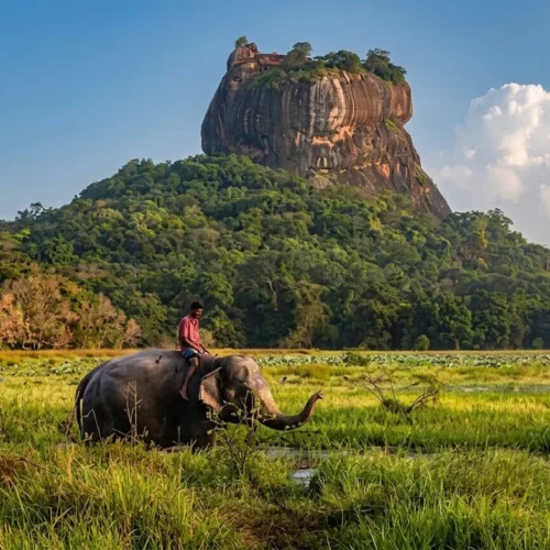 10-Day Essence of Ceylon